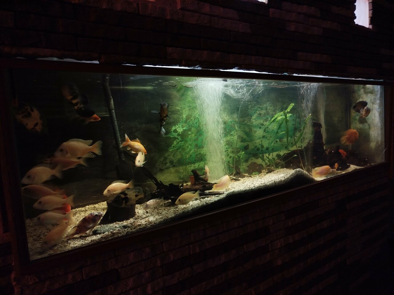 Гостиница Аравана Тула-29