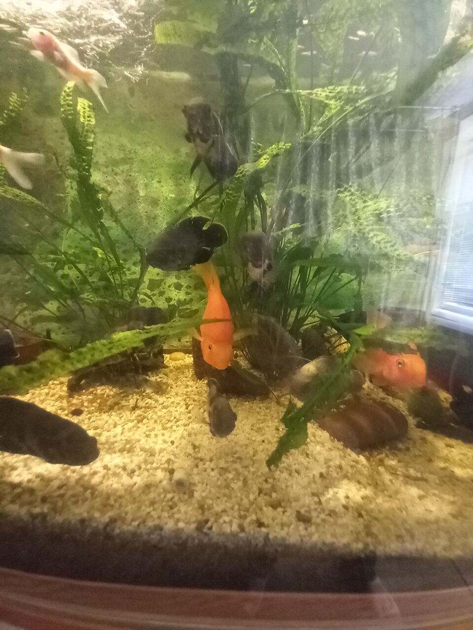 Гостиница Аравана Тула-35