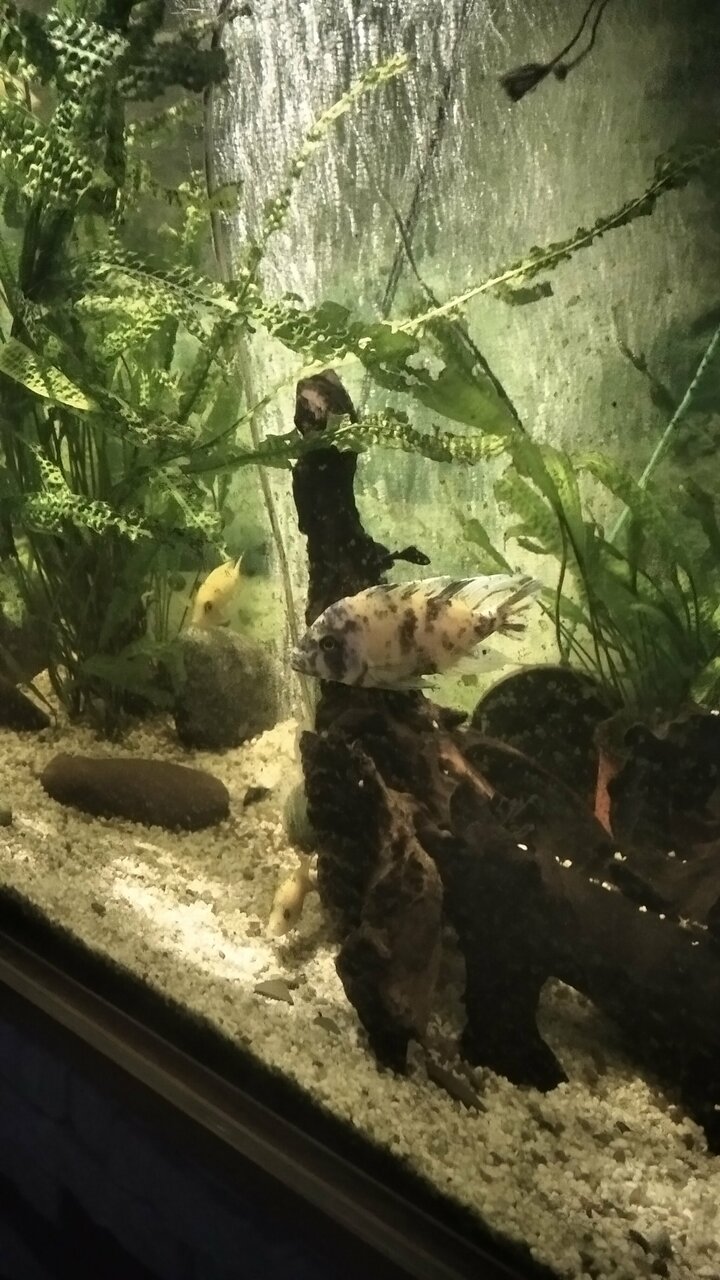 Гостиница Аравана Тула-27