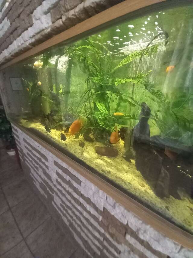 Гостиница Аравана Тула-23