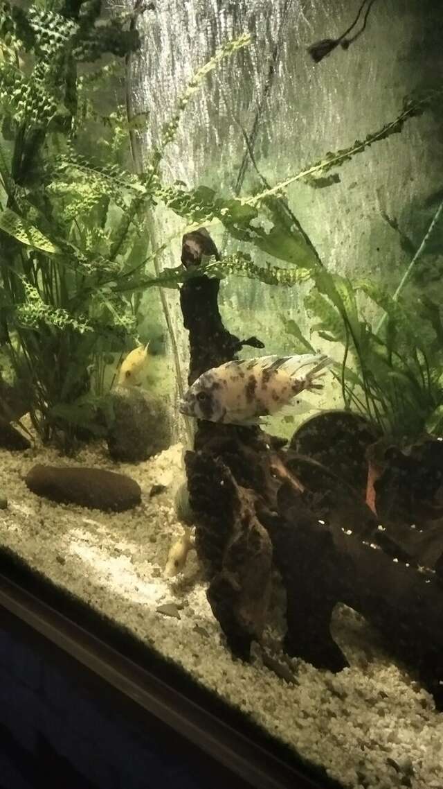 Гостиница Аравана Тула-26